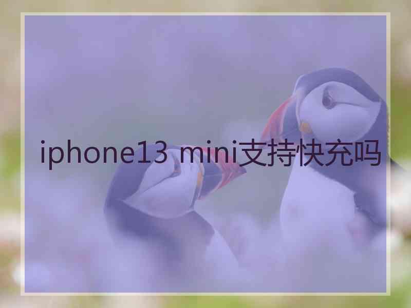 iphone13 mini支持快充吗