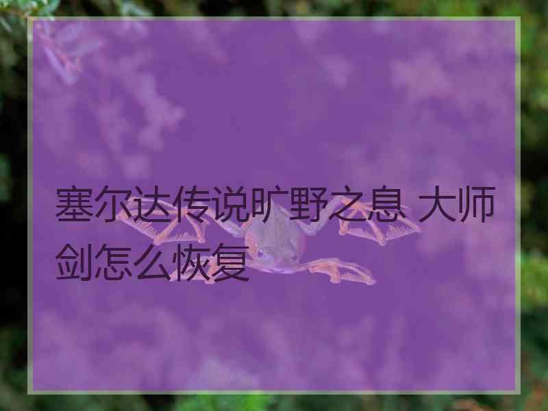 塞尔达传说旷野之息 大师剑怎么恢复