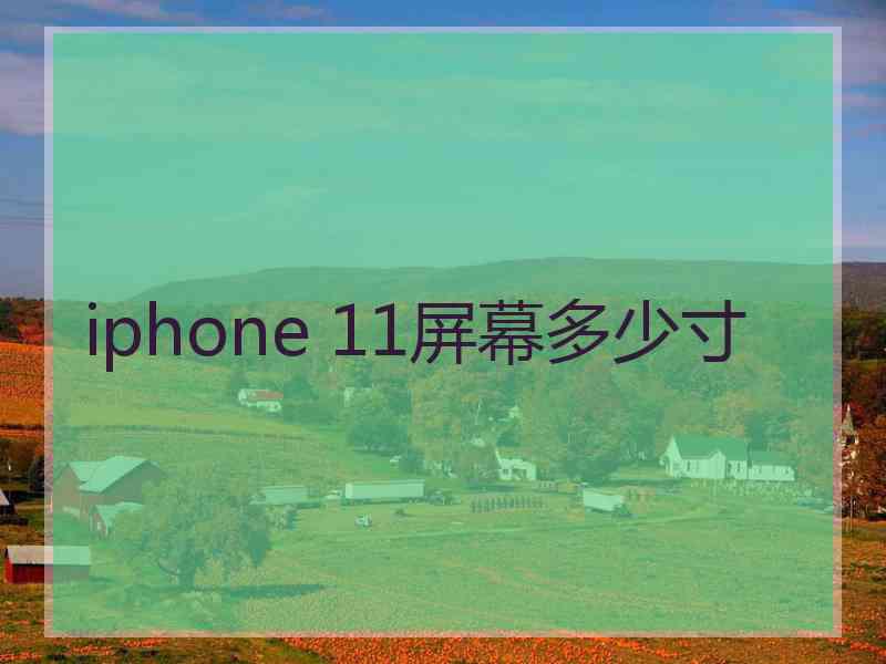 iphone 11屏幕多少寸