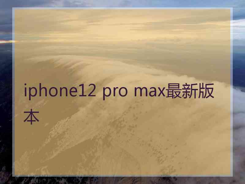 iphone12 pro max最新版本