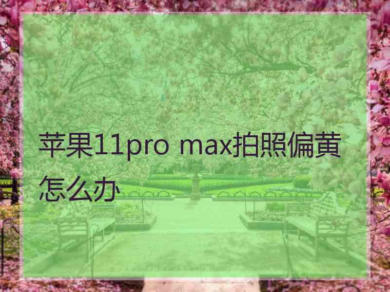 苹果11pro max拍照偏黄怎么办