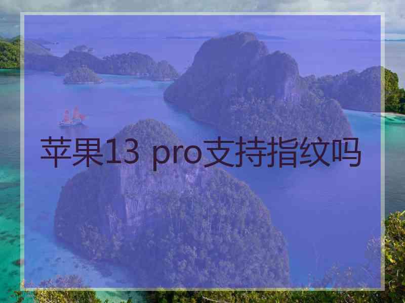 苹果13 pro支持指纹吗