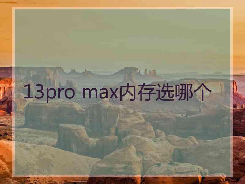 13pro max内存选哪个