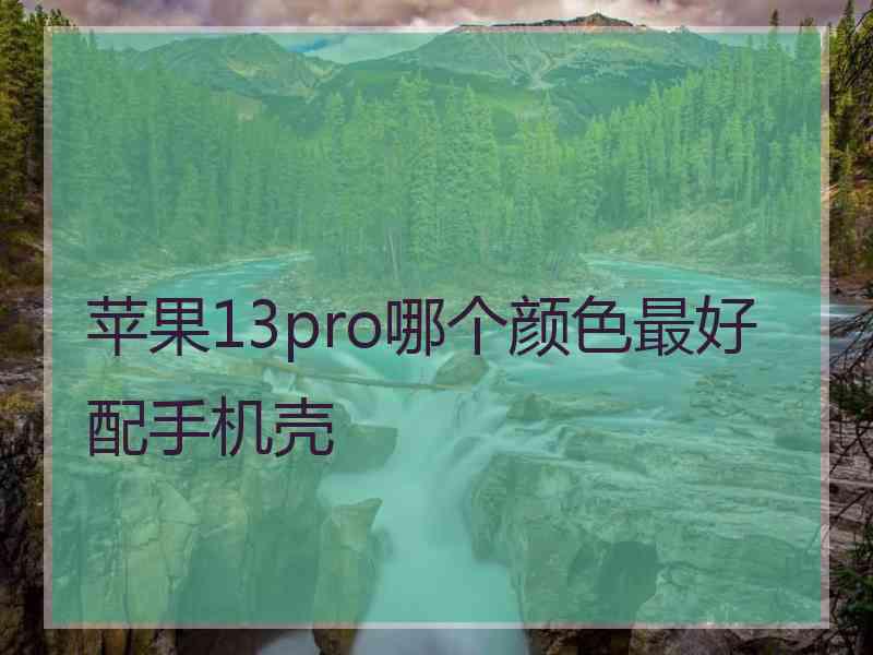 苹果13pro哪个颜色最好配手机壳