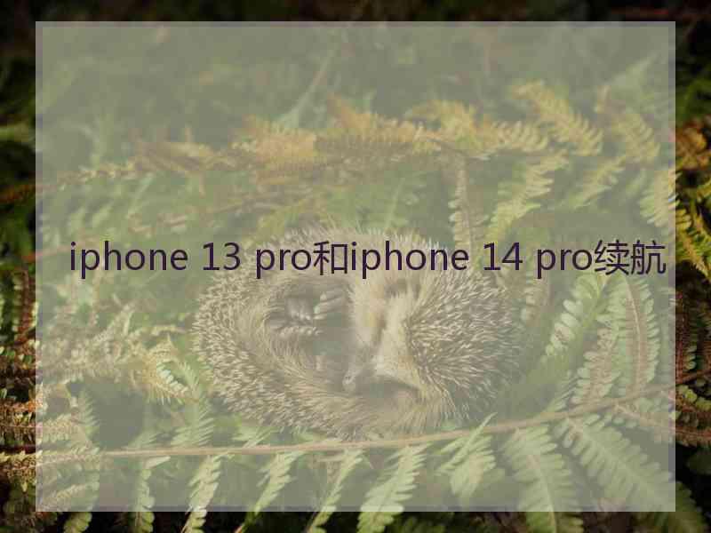 iphone 13 pro和iphone 14 pro续航