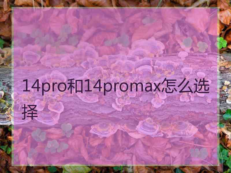 14pro和14promax怎么选择