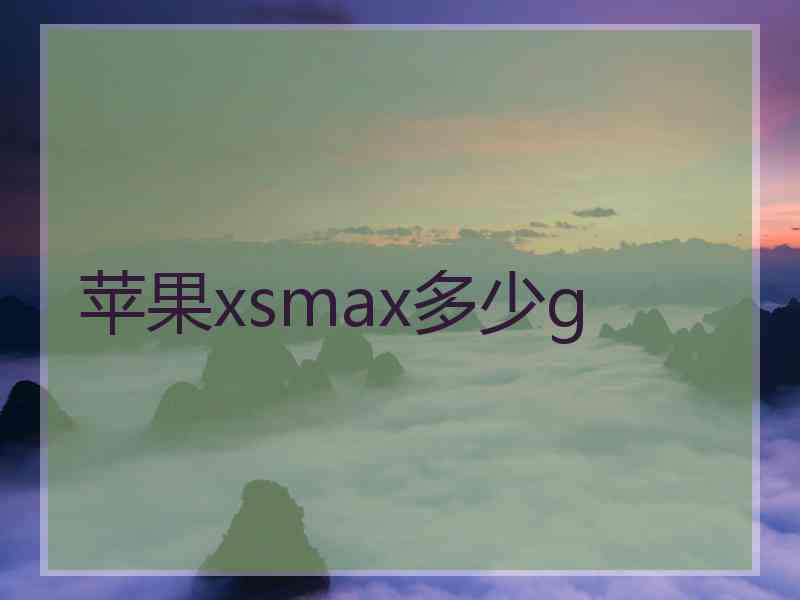 苹果xsmax多少g