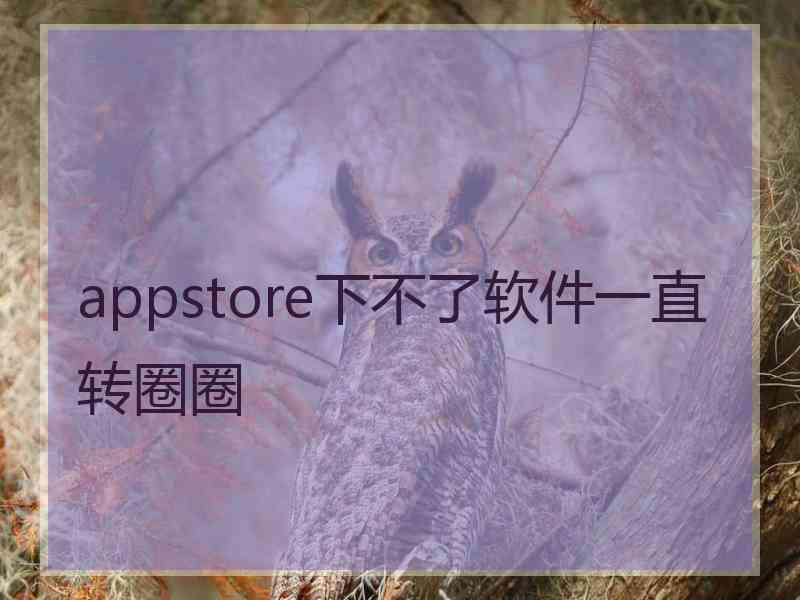 appstore下不了软件一直转圈圈