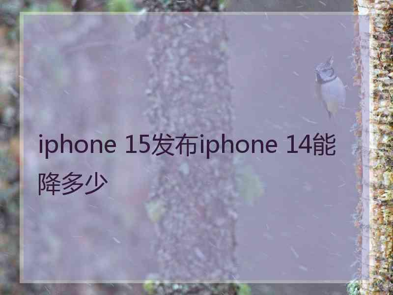 iphone 15发布iphone 14能降多少