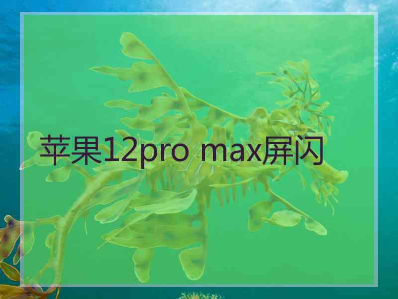 苹果12pro max屏闪