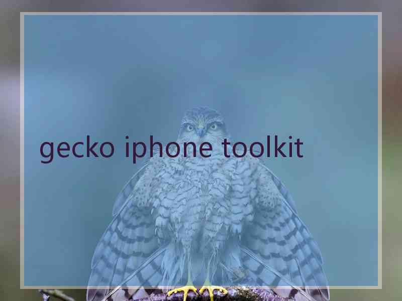 gecko iphone toolkit