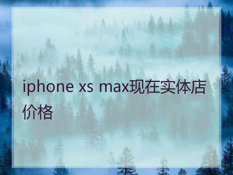 iphone xs max现在实体店价格