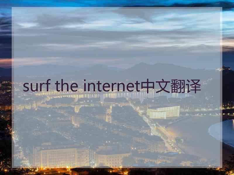 surf the internet中文翻译