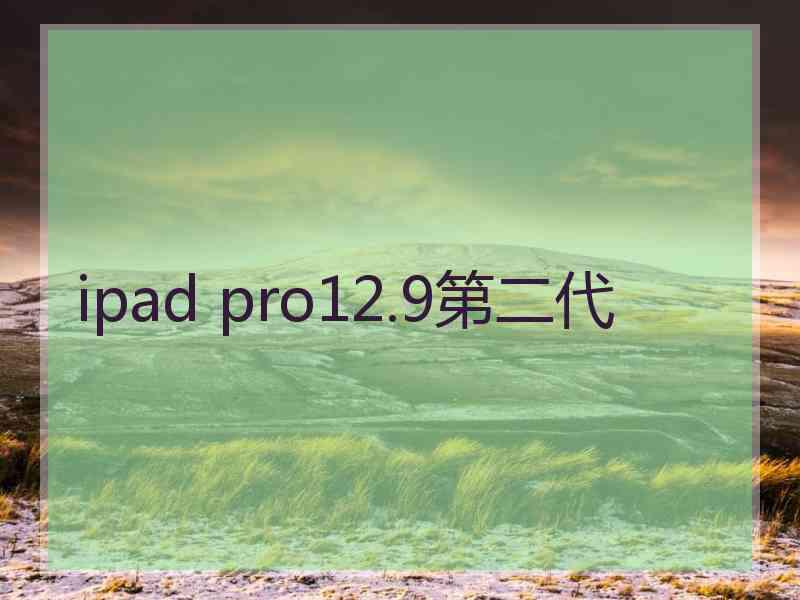 ipad pro12.9第二代