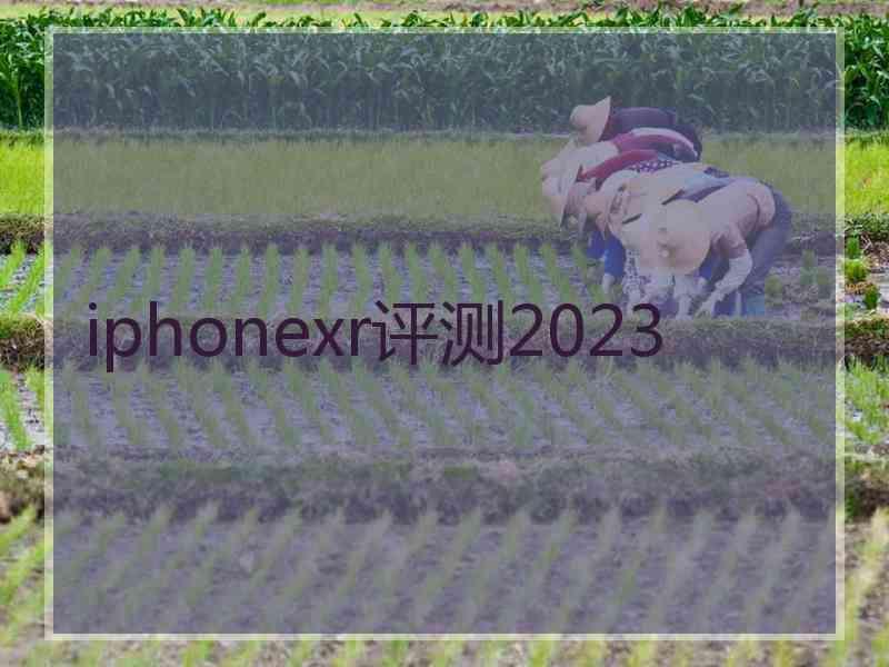 iphonexr评测2023