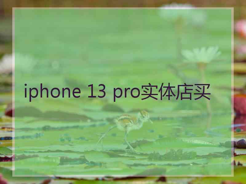 iphone 13 pro实体店买