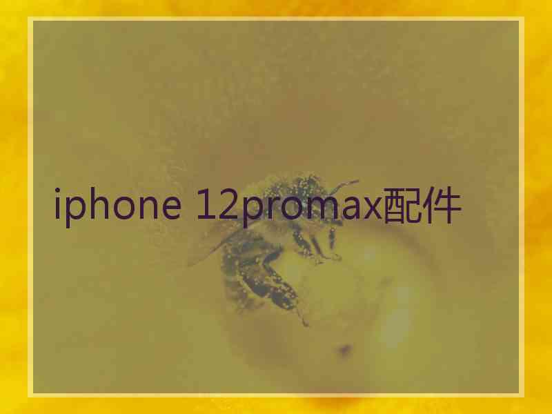 iphone 12promax配件