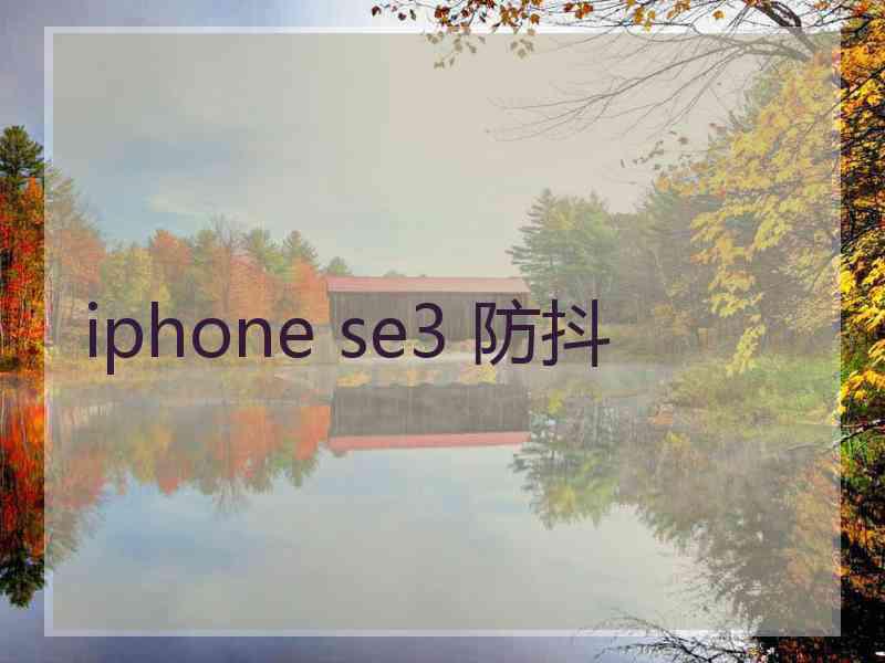 iphone se3 防抖