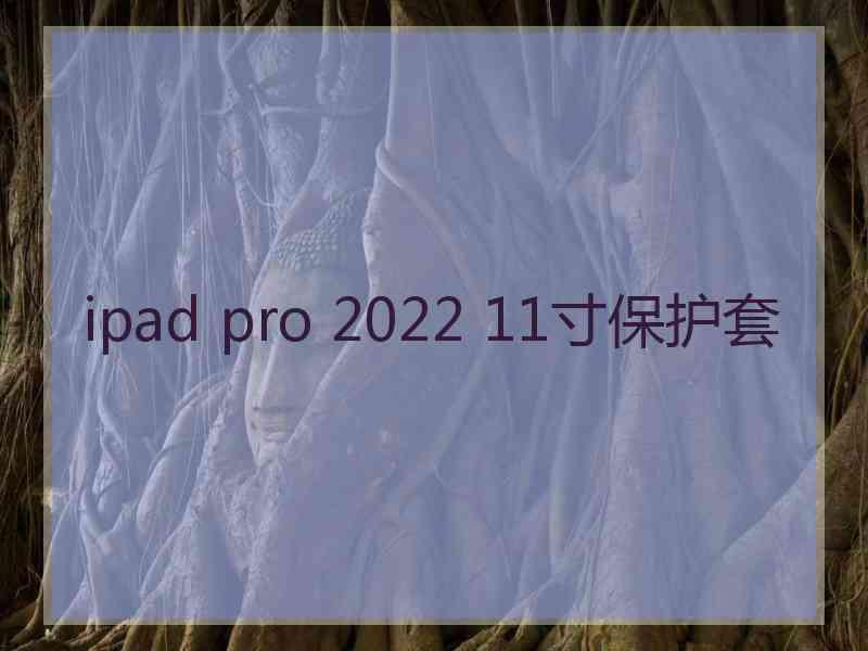 ipad pro 2022 11寸保护套