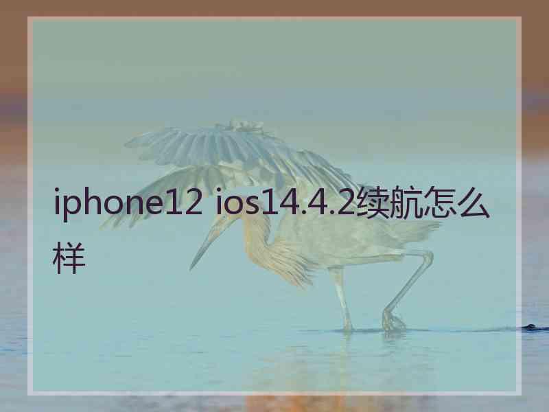 iphone12 ios14.4.2续航怎么样