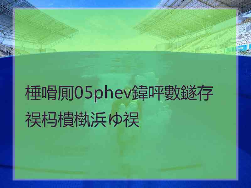 棰嗗厠05phev鍏呯數鐩存祦杩樻槸浜ゆ祦