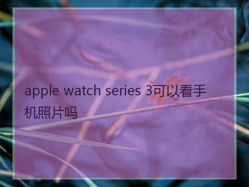 apple watch series 3可以看手机照片吗