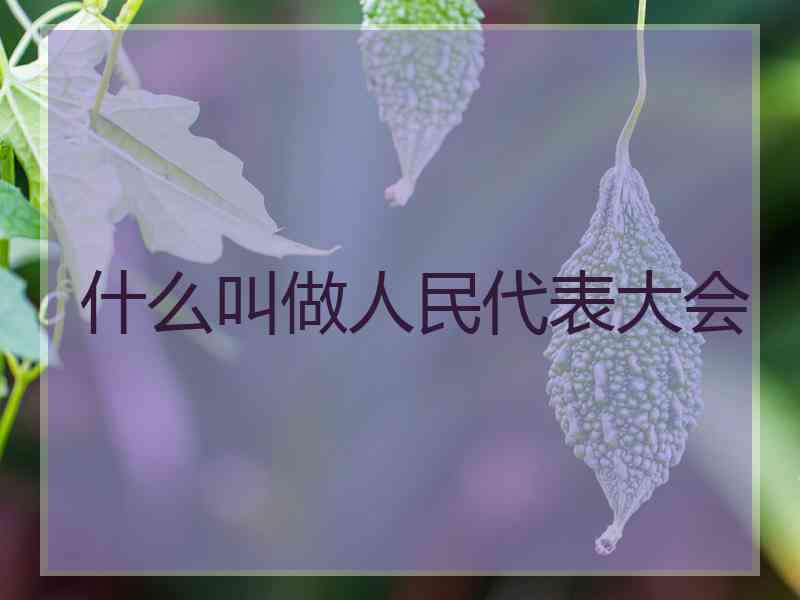 什么叫做人民代表大会