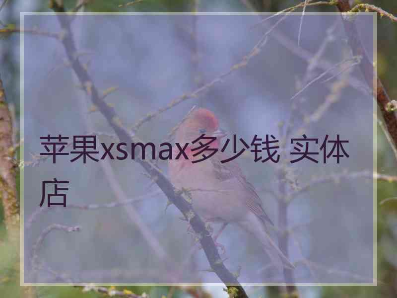 苹果xsmax多少钱 实体店