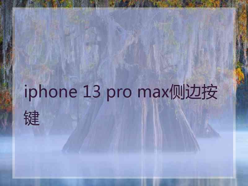 iphone 13 pro max侧边按键