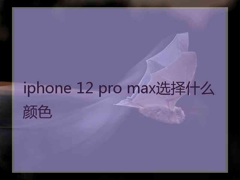 iphone 12 pro max选择什么颜色