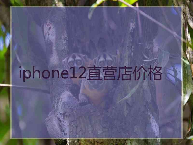 iphone12直营店价格