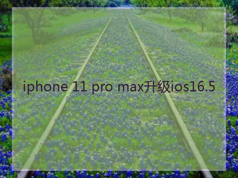 iphone 11 pro max升级ios16.5