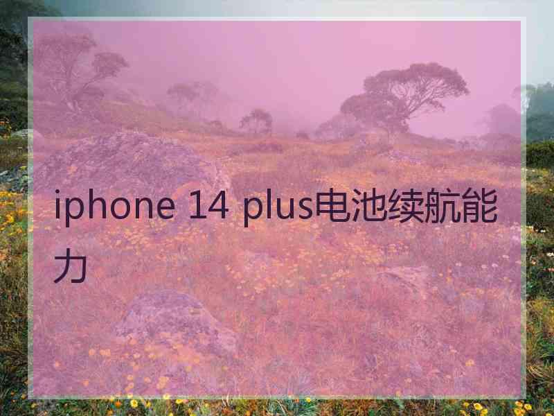 iphone 14 plus电池续航能力