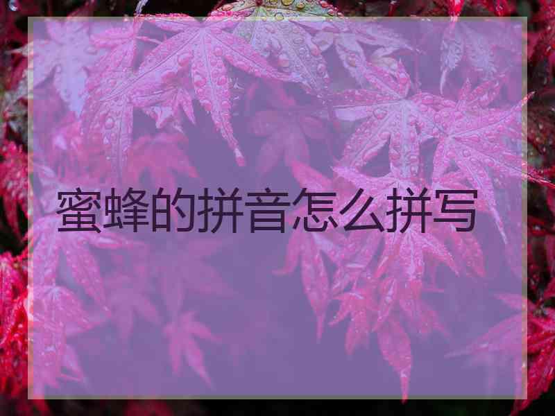 蜜蜂的拼音怎么拼写