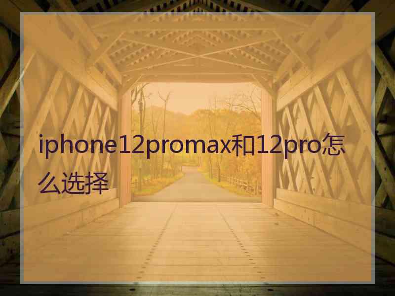 iphone12promax和12pro怎么选择