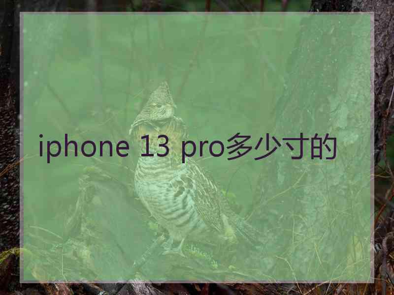 iphone 13 pro多少寸的