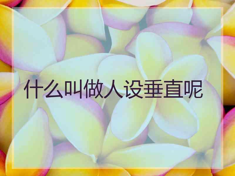 什么叫做人设垂直呢