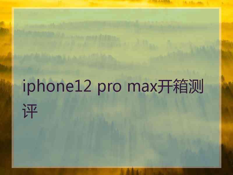 iphone12 pro max开箱测评