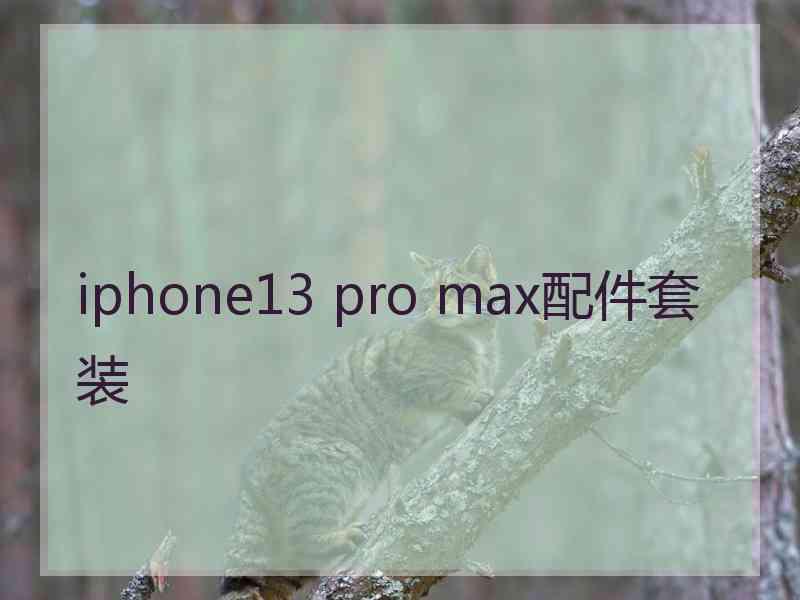 iphone13 pro max配件套装