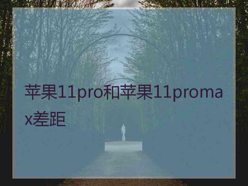 苹果11pro和苹果11promax差距