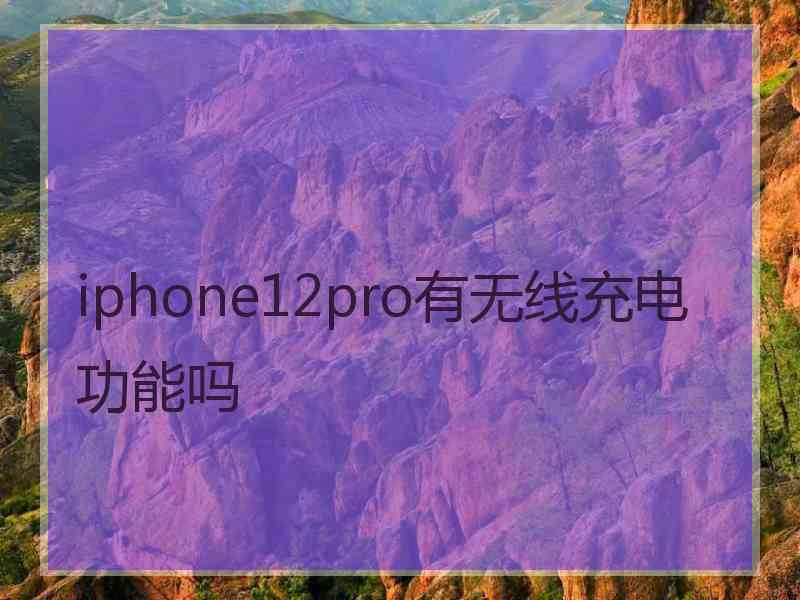 iphone12pro有无线充电功能吗