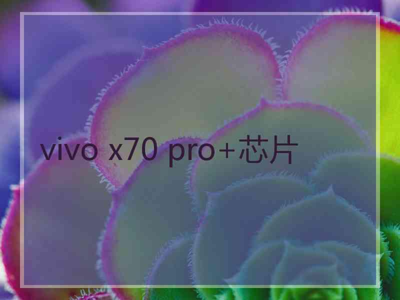 vivo x70 pro+芯片