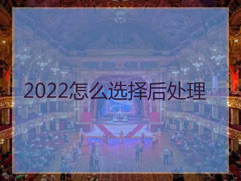 2022怎么选择后处理