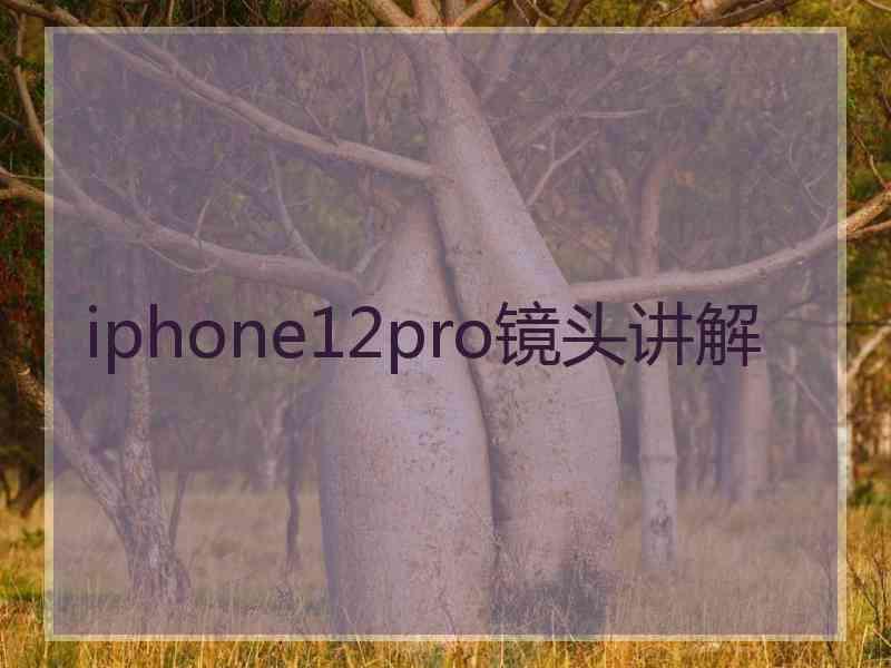 iphone12pro镜头讲解