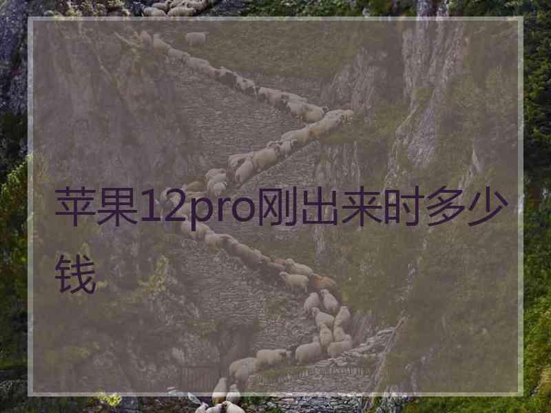 苹果12pro刚出来时多少钱