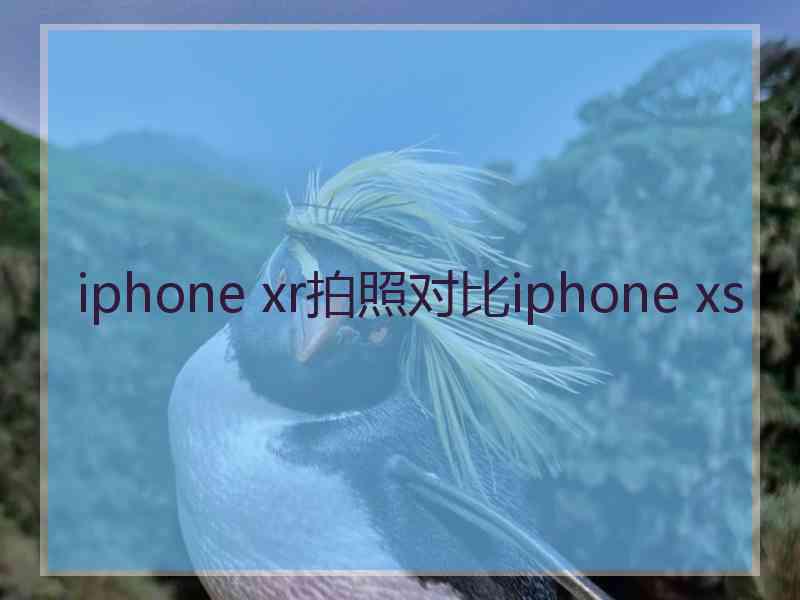 iphone xr拍照对比iphone xs