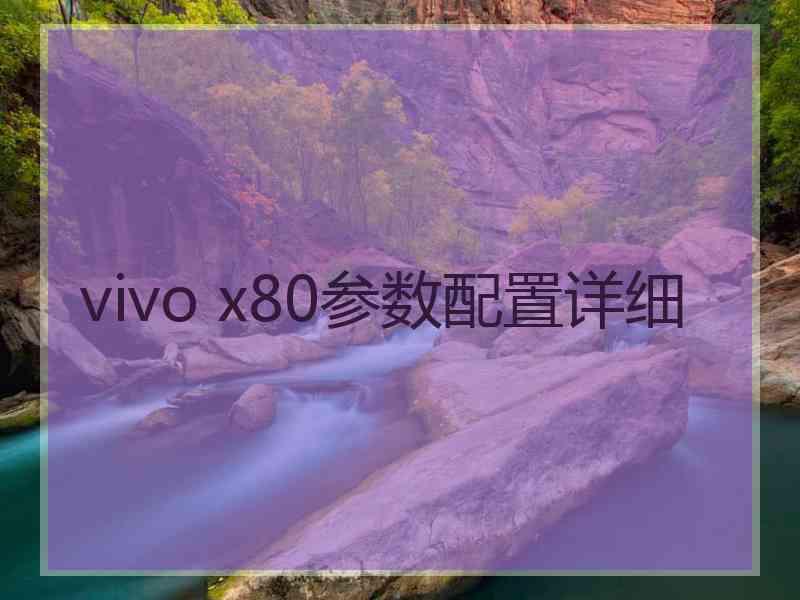 vivo x80参数配置详细