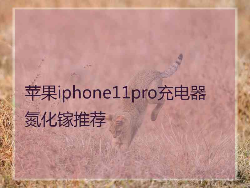 苹果iphone11pro充电器氮化镓推荐