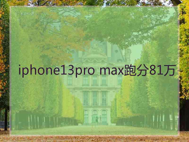 iphone13pro max跑分81万