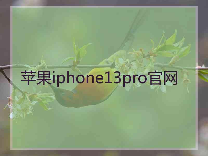 苹果iphone13pro官网